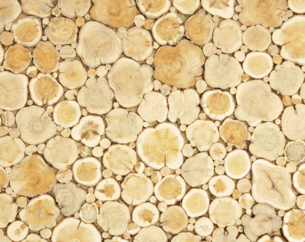 Juniper wood panel 50×100 cm