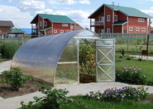 Greenhouse Arrow 3x8m with 4mm polycarbonate (box)