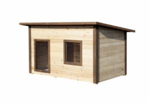 Doghouse Hallway + room + window